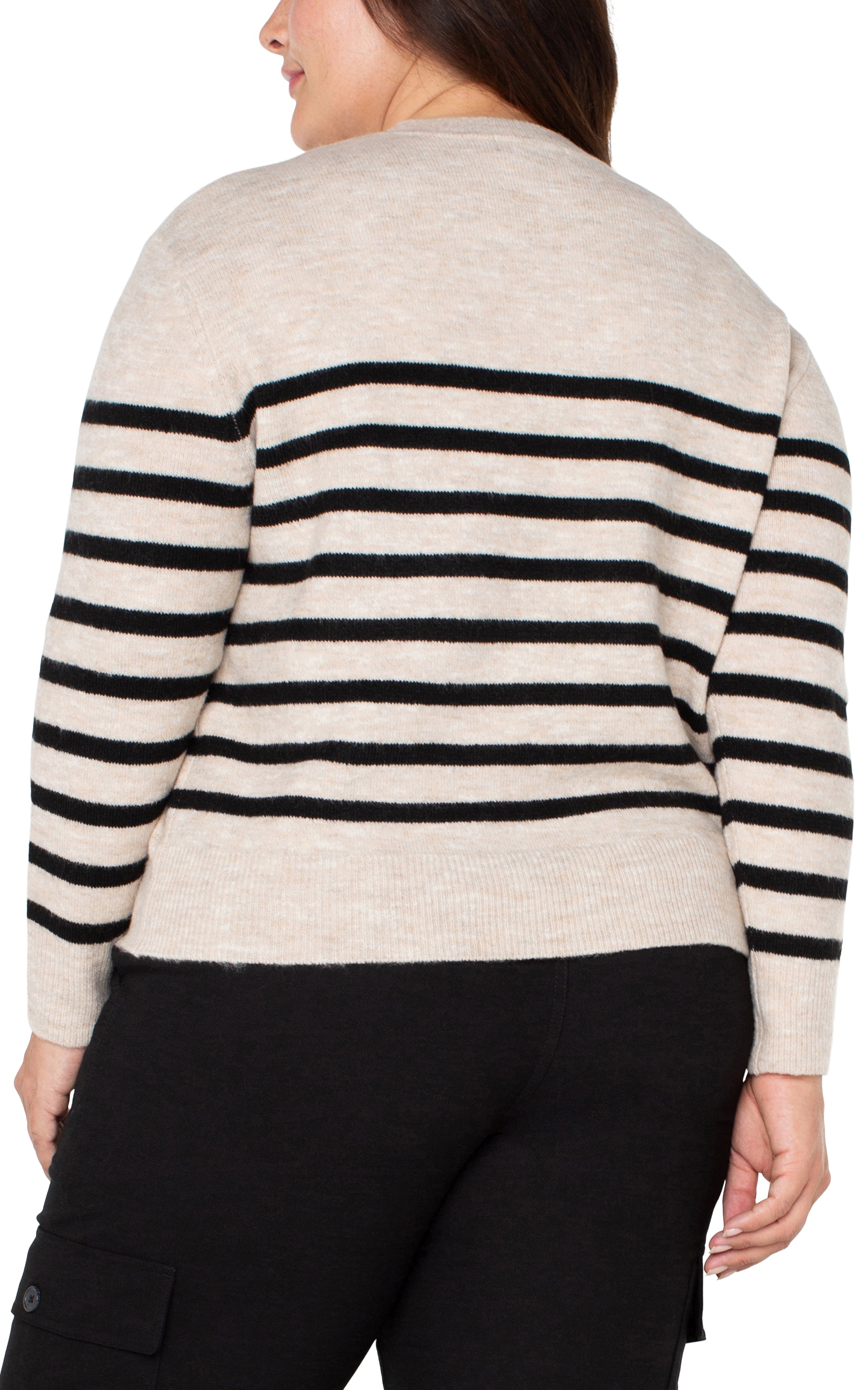 plus size striped sweater back view