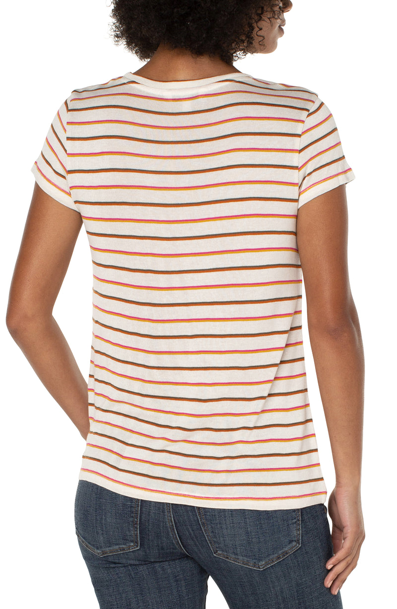 MULTI COLOR STRIPE-2